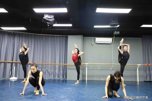 商丘高考舞蹈培训费用需要多少钱 在商丘如何选择舞蹈艺术考试培训课程