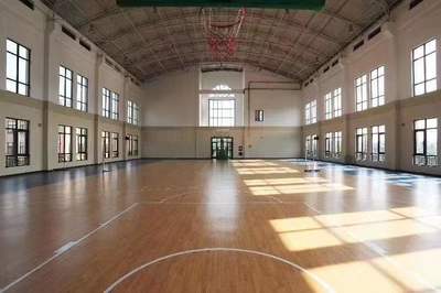 LG运宝运动地板多功能舞蹈地胶篮球网球健身环保高弹pvc地板